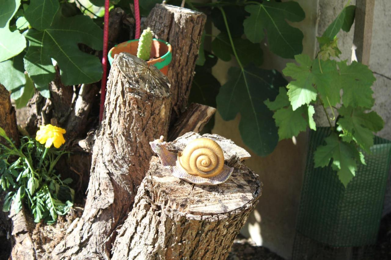 Gite Le Cep D'Or Alsace Saint-Hippolyte  Εξωτερικό φωτογραφία